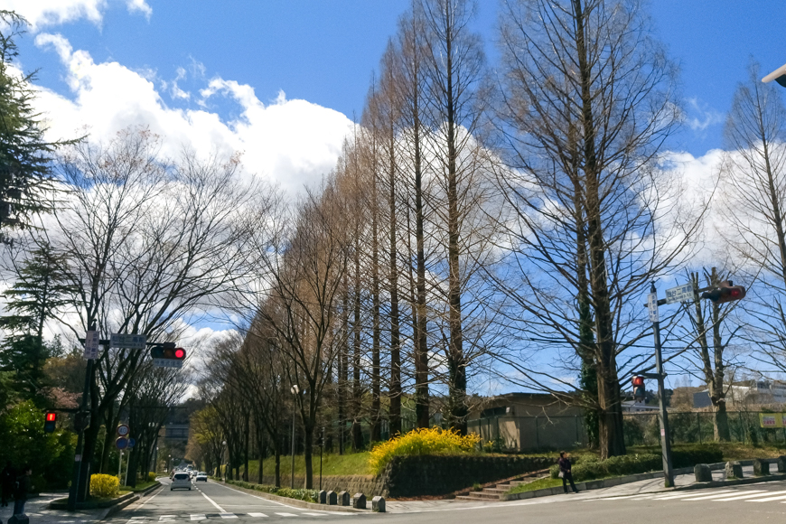 Ngã tư gần Kawauchi Campus, Tohoku University