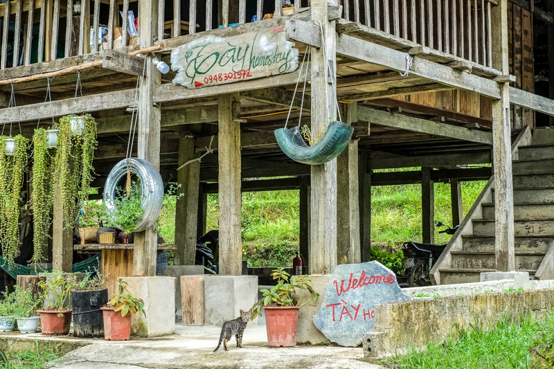 Làng Tày Homestay